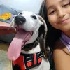 fan_de_perros1243