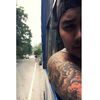 _clemi