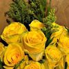 bnt_najd3