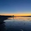 keithsteele1