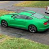 mustangmama80