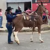 dudamatosmt