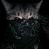 alex_nzzzzzzzzzzzzz
