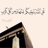 manalamer45