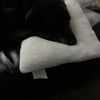 kkmom6