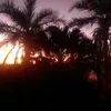 ritinha.ol