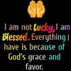 chocolate_allover0