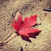 .nathalie_anne