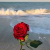 soso_19934
