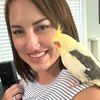 bird_addict