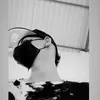 daniel_zari0