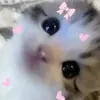 stupendous_fairy