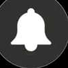 chinaofficial_2025