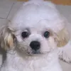 kuris_mom