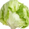 biglettuce06