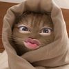 sya_chcii