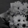 het_buon_thi_doi_ten7