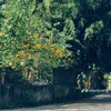 doimoicontrinh