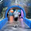 dvblngcs