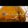 awaisiqbal1448