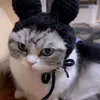 dobrifrik