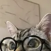 its_meowwww3