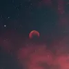 salwael112
