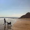 theseacookie