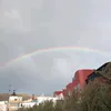 paaaulii29