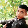 lam8242