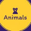@Animals