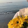 israa_181