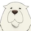 kevinchen_11