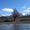 catalinaruizdiaz3