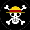 dmsong20