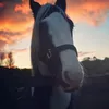 keriepalinchapman