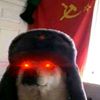 memescurator