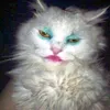 itsmetrashy
