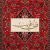 zahraamaged7