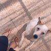 xtremejessy