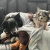 gina_p_122