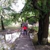 armandorosas05