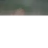 fredjstpd