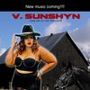 VSunshyn
