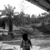danasarisetiyawan