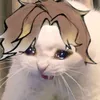 maxiiu8