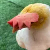 chcikenokisok