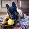 pucklesgsd
