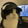 mlastimado