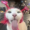 o.o.o.o.o.0.o.0.o